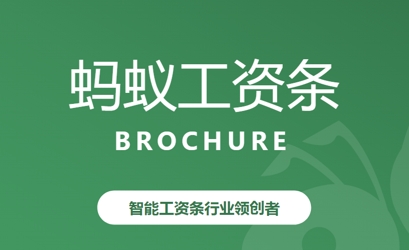 螞蟻工資條